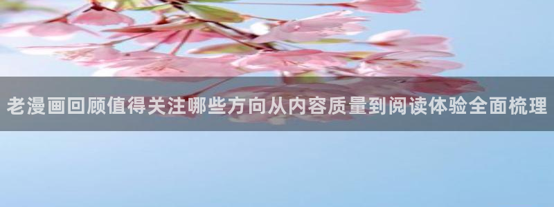 梦漫漫画软件