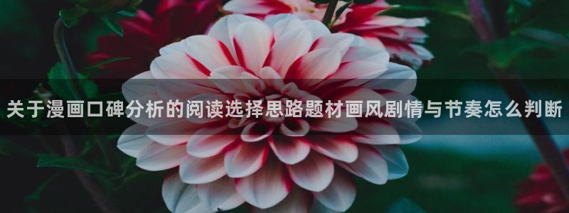 梦漫漫画漫画导航大全